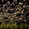 Pure Garden Solar-Powered 100 Fairy Lights, Warm White 50-LG1010 - alternate 1